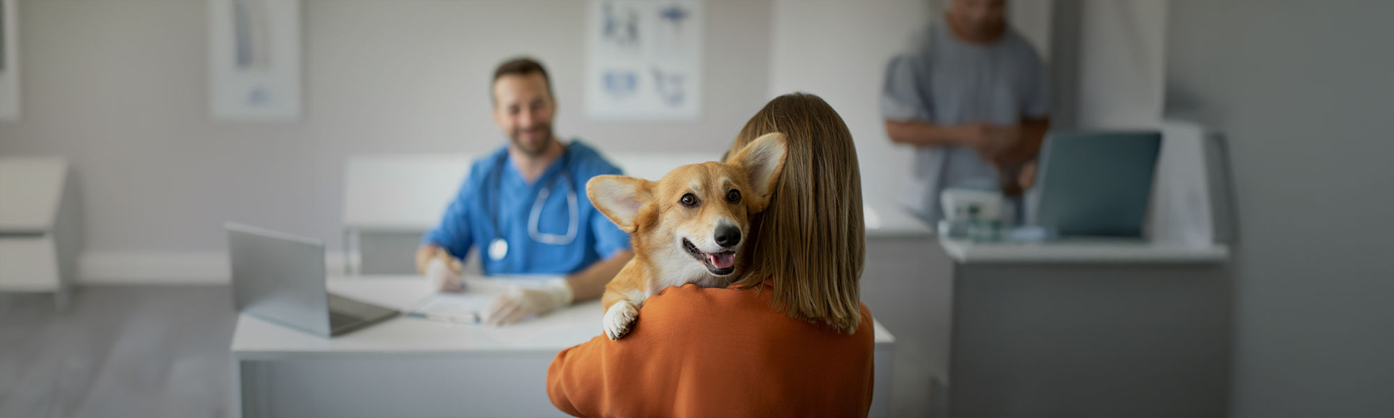 Divina seguros cuadro medico veterinarios